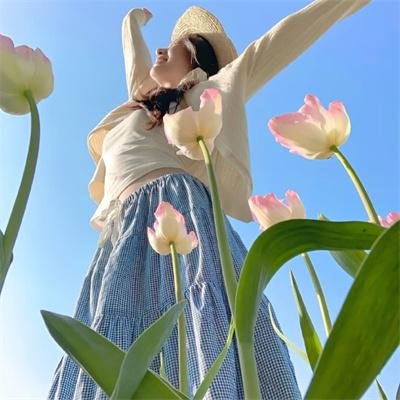 空中浩劫第九季 在线观看封面