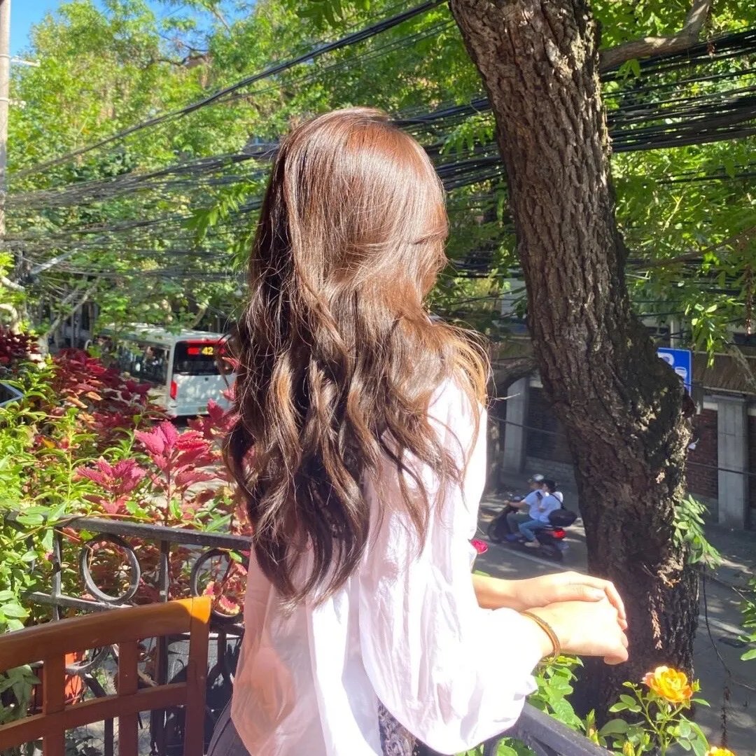 清水湾，淡水湾 在线观看封面